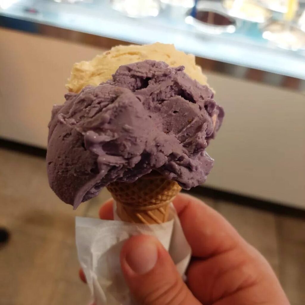 481163756_971991105057068_8405063155916978241_n